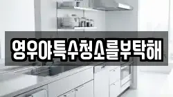 영우야특수청소를부탁해