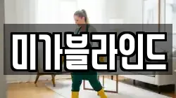 미가블라인드