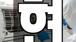 현