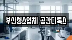 부산청소업체 공간디톡스