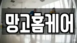 망고홈케어