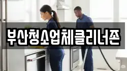 부산청소업체클리너존