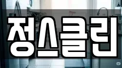 정스클린