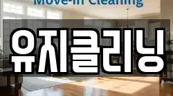 유지클리닝