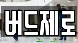 버드제로