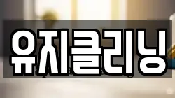 유지클리닝