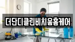 더단디클린비치움홈케어