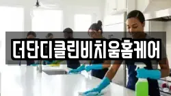 더단디클린비치움홈케어