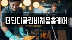 더단디클린비치움홈케어
