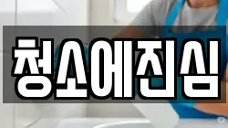청소에진심