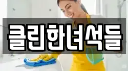 클린한녀석들