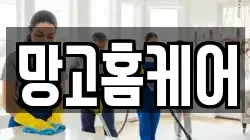 망고홈케어