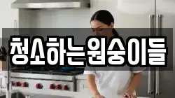 청소하는원숭이들