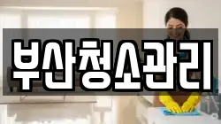 부산청소관리