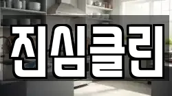 진심클린