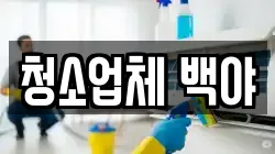 청소업체 백야
