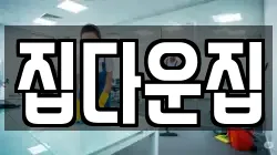집다운집