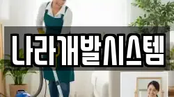 나라개발시스템