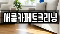 새룸카페트크리닝