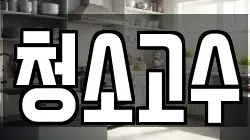 청소고수