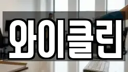 와이클린