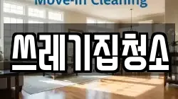 쓰레기집청소