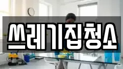 쓰레기집청소