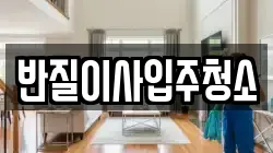 반질이사입주청소