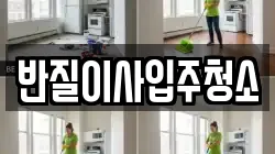 반질이사입주청소