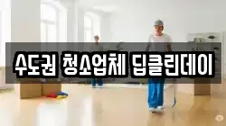 수도권 청소업체 딥클린데이