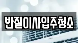 반질이사입주청소