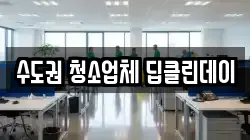 수도권 청소업체 딥클린데이