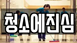 청소에진심