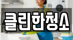 클린한청소