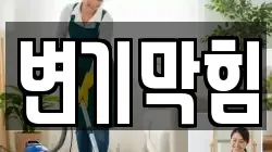 변기막힘