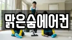 서울특별시 강서구 공항동 청소,입주청소,사무실청소,에어컨청소,특수청소,상가청소,거주청소,유품정리