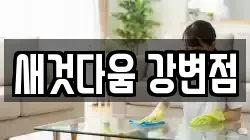 서울특별시 강서구 염창동 청소,입주청소,사무실청소,에어컨청소,특수청소,상가청소,거주청소,유품정리