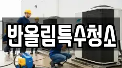 반올림특수청소