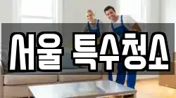 서울 특수청소