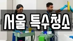 서울 특수청소