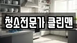 청소전문가 클린맨