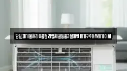 당일폐기물처리유품정리업체골동품고철매입폐가구수거쓰레기이사