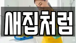새집처럼