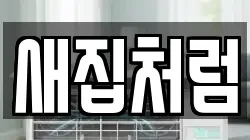 새집처럼