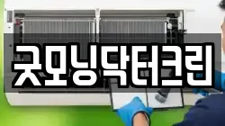 굿모닝닥터크린
