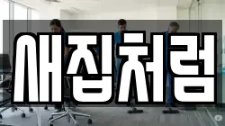 새집처럼