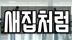 새집처럼