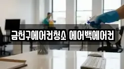 금천구에어컨청소 에어백에어컨
