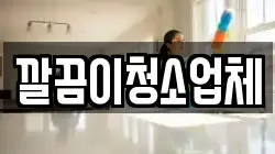 깔끔이청소업체