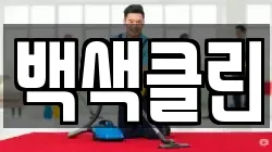 백색클린